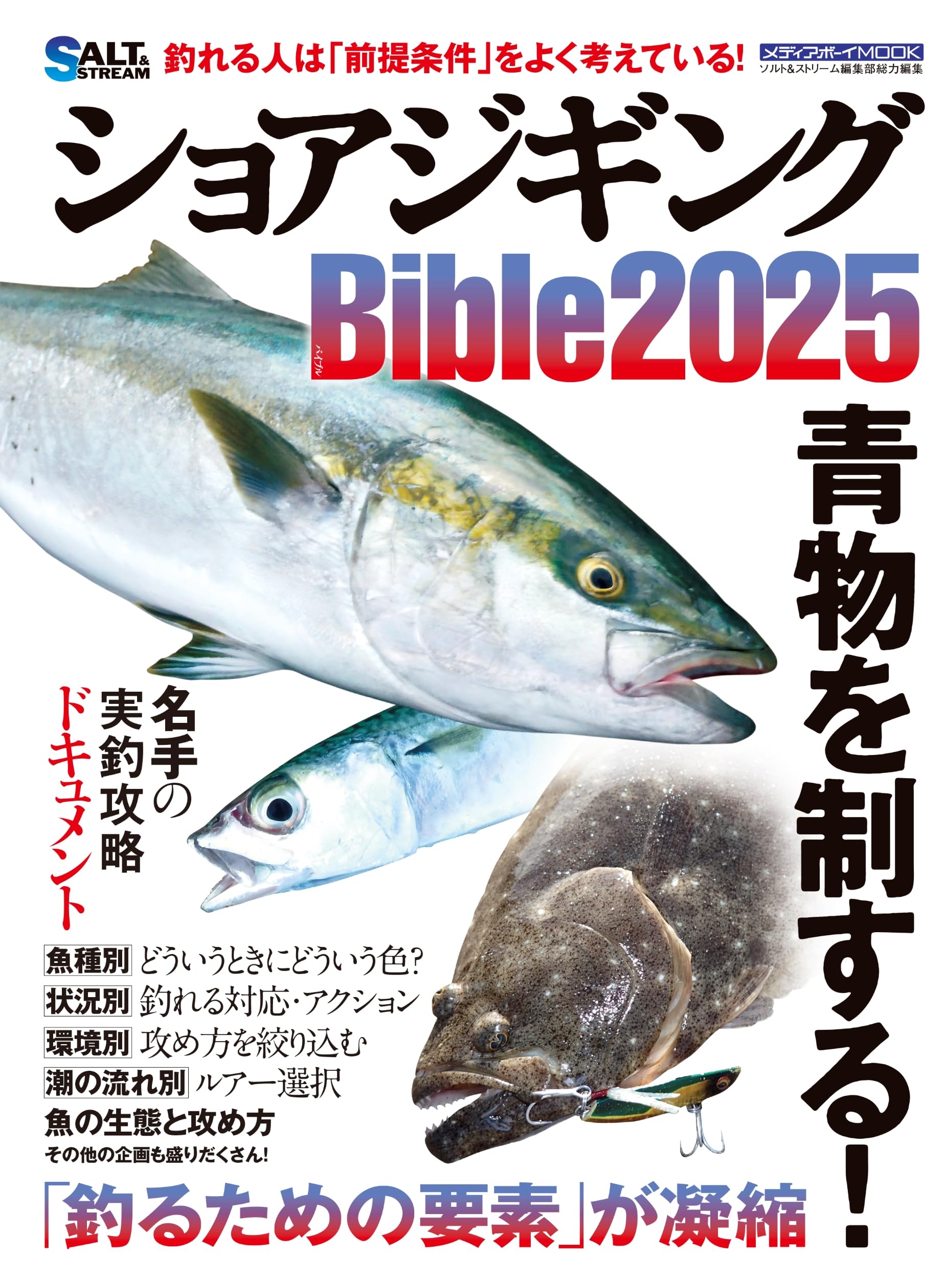 Amazon.co.jp: ショアジギングBible2025 (MEDIABOY MOOK) : メディア